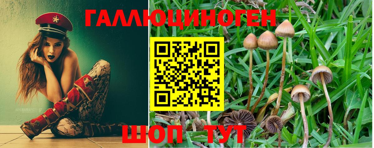 Галлюциногенные грибы GOLDEN TEACHER Заводоуковск