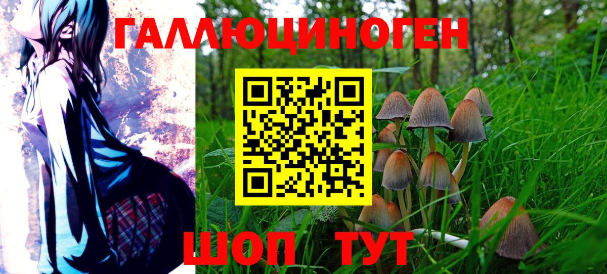 Заводоуковск  Псилоцибиновые грибы GOLDEN TEACHER  Вход с VPN 